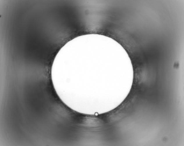 X0000103930605200809191352