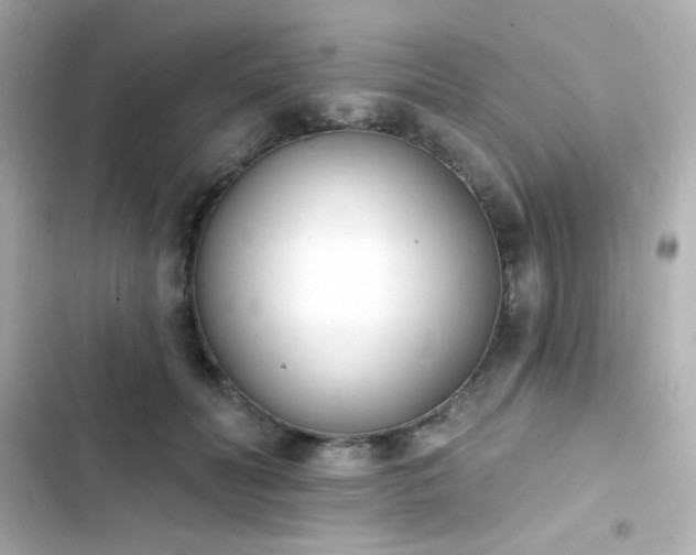 X0000103930606200809191352