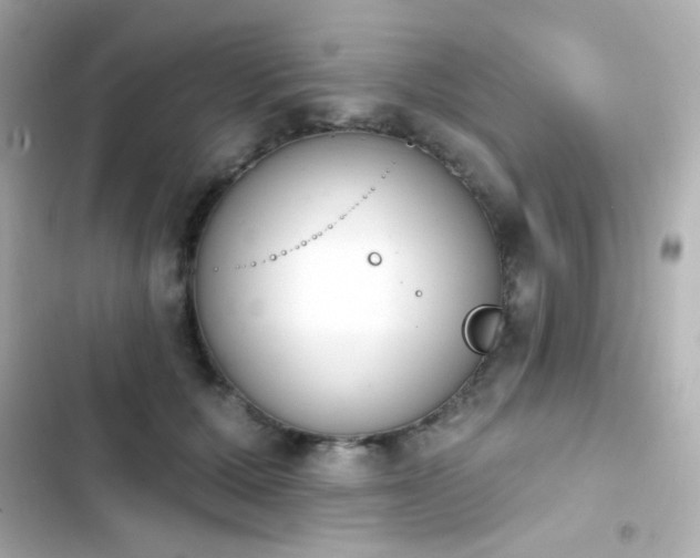 X0000103930607200809191352