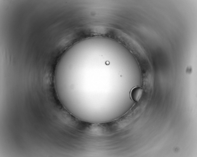 X0000103930608200809191352
