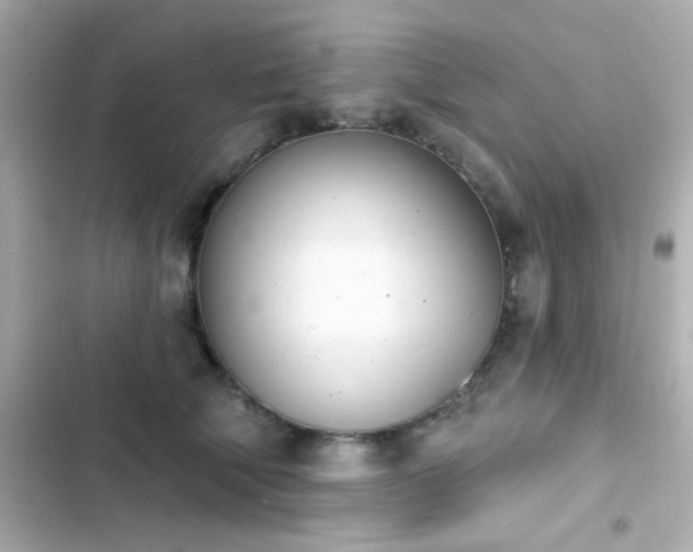 X0000103930610200809191352
