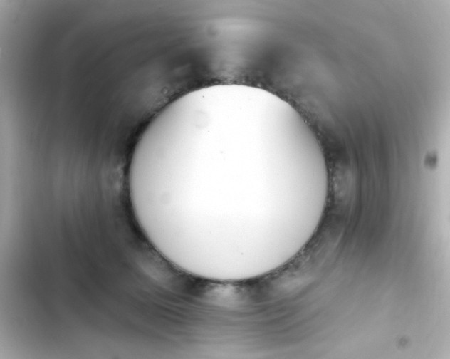 X0000103930611200809191352