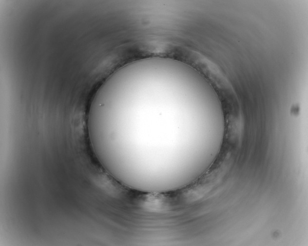 X0000103930612200809191352