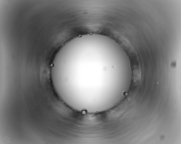 X0000103930613200809191352