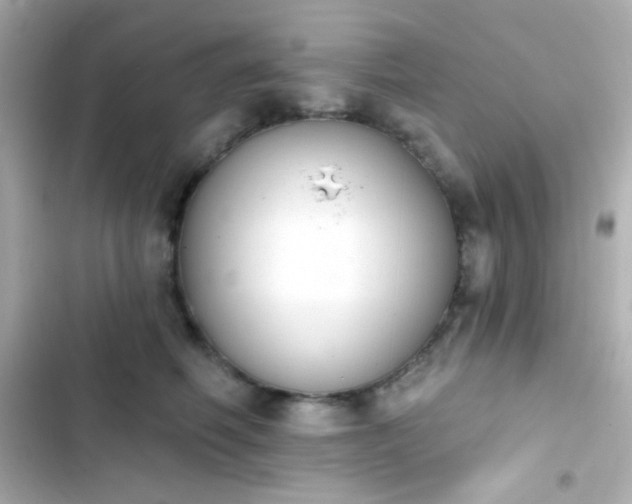 X0000103930614200809191352