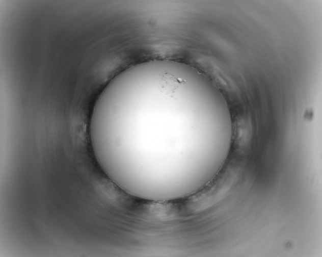 X0000103930615200809191352