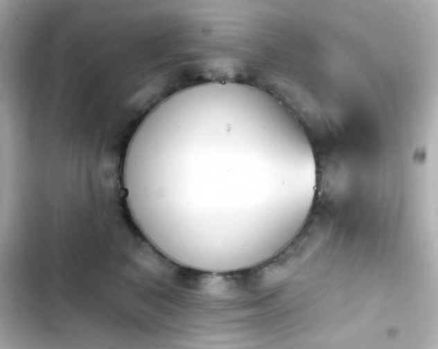 X0000103930616200809191352