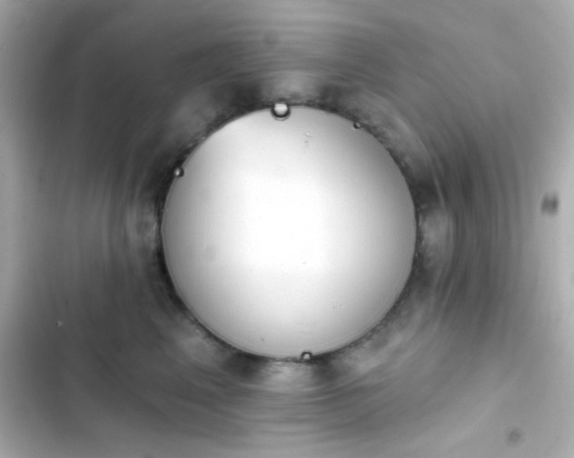 X0000103930617200809191352