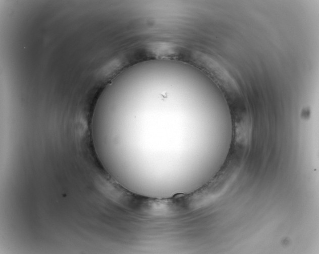 X0000103930618200809191352