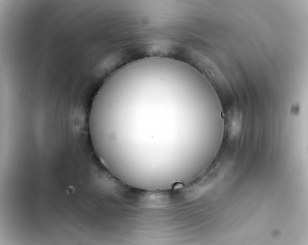 X0000103930619200809191352