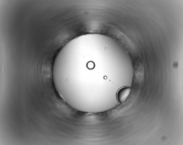 X0000103930620200809191352