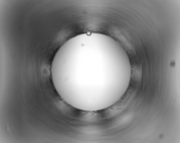 X0000103930621200809191352