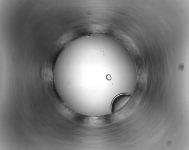 X0000103930622200809191352