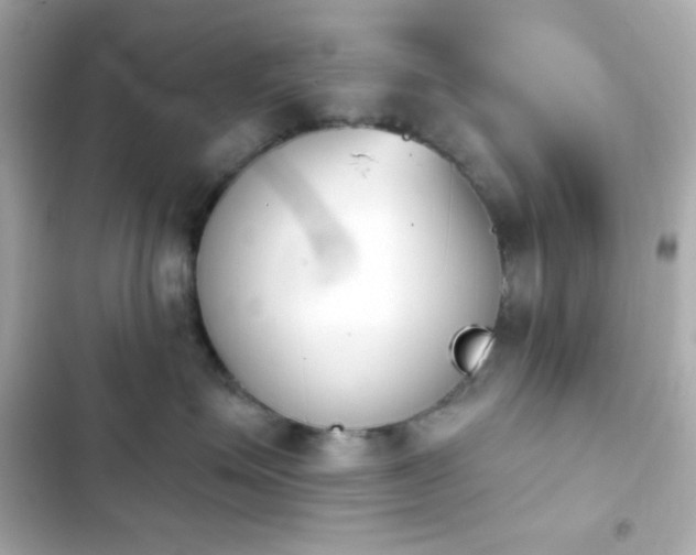 X0000103930623200809191352