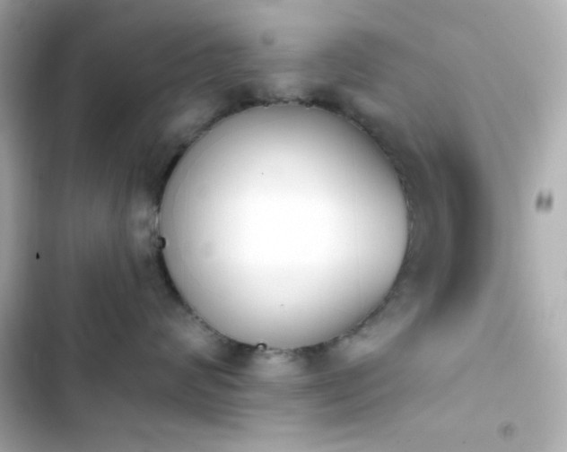 X0000103930624200809191352