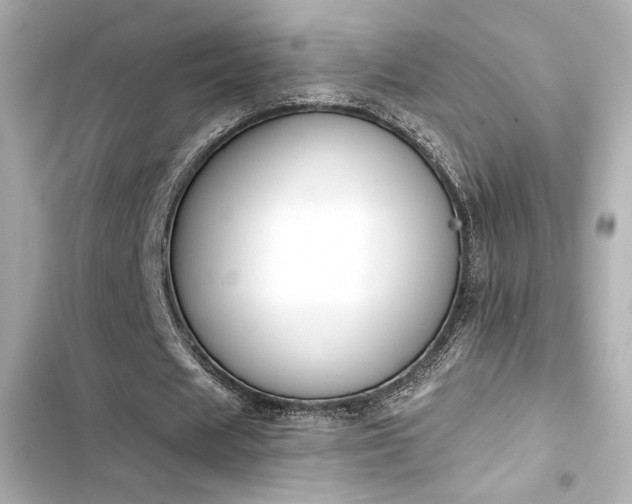 X0000103930625200809191351