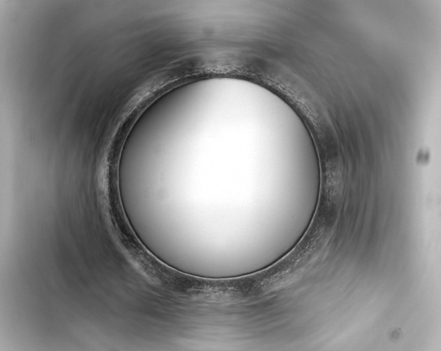 X0000103930626200809191351