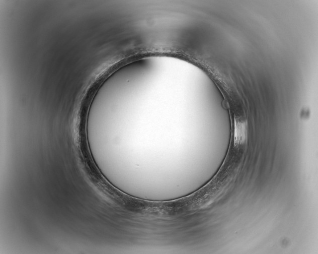 X0000103930627200809191351