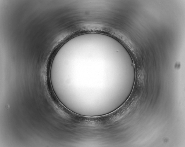 X0000103930629200809191351