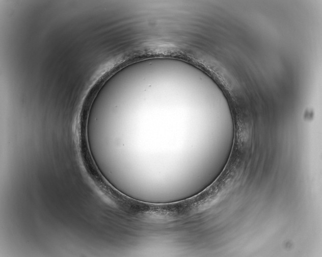 X0000103930630200809191351