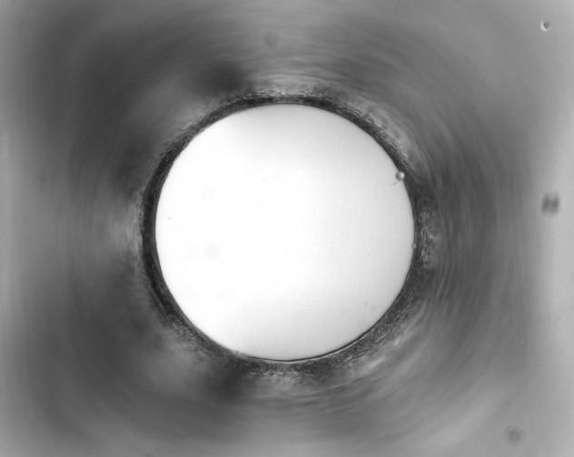 X0000103930631200809191351