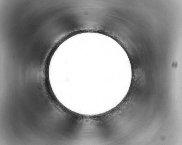 X0000103930632200809191351