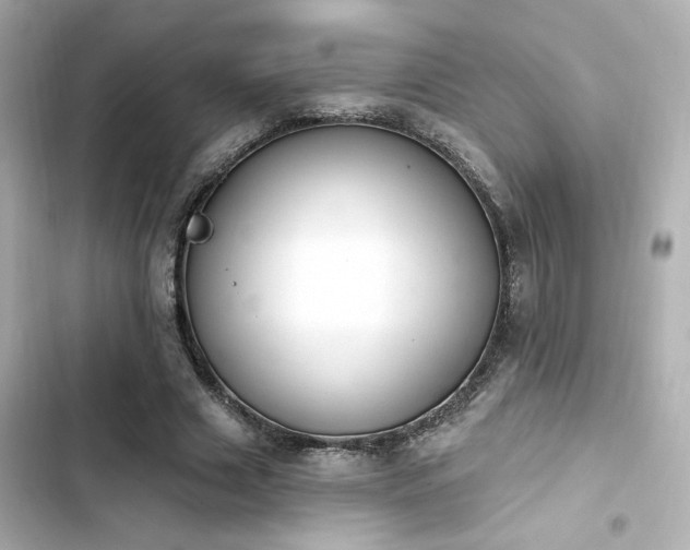 X0000103930633200809191351