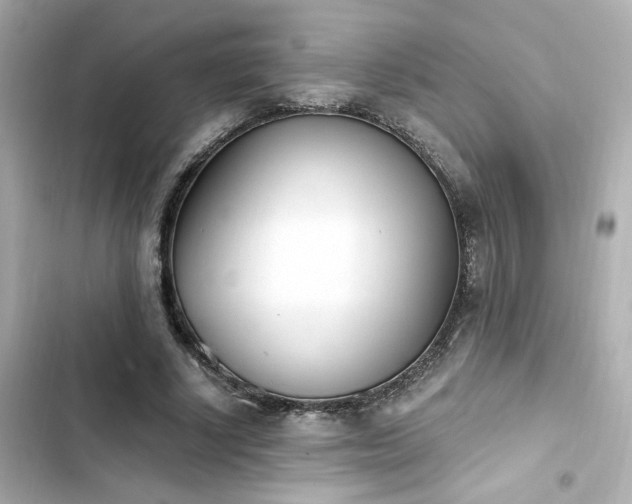 X0000103930634200809191351