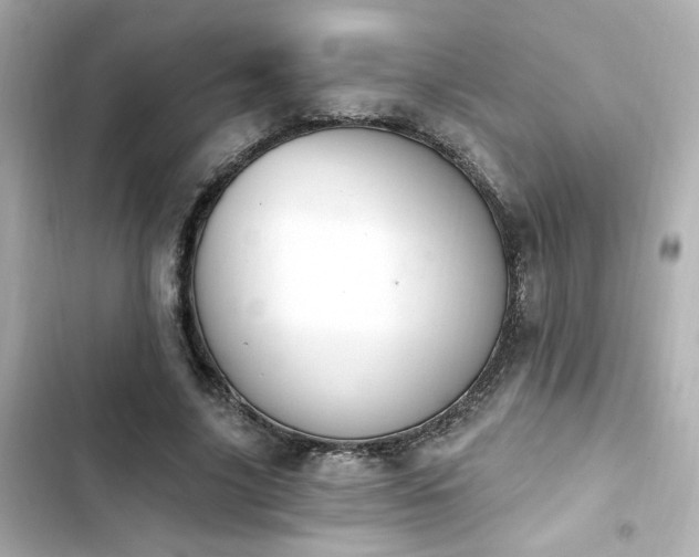 X0000103930635200809191351