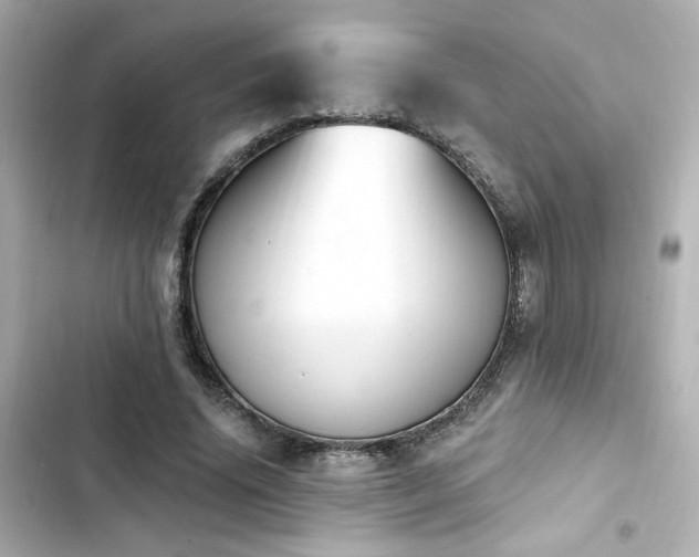 X0000103930636200809191351