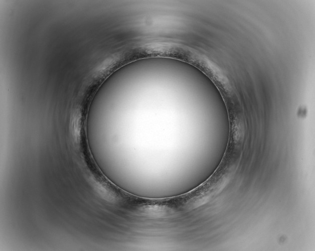X0000103930637200809191351