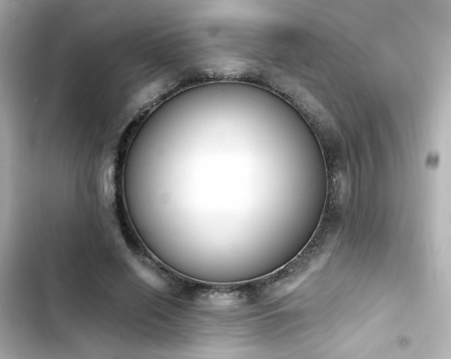 X0000103930638200809191351