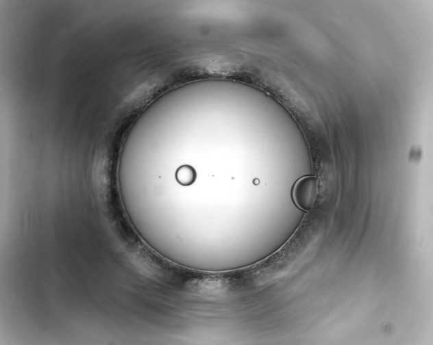 X0000103930639200809191351