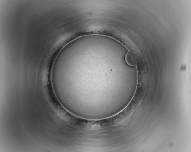 X0000103930640200809191351