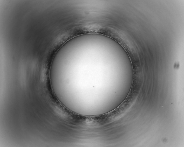 X0000103930641200809191351