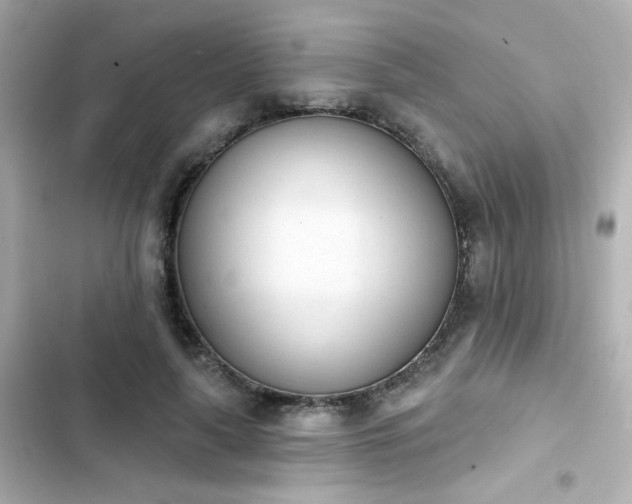 X0000103930643200809191351