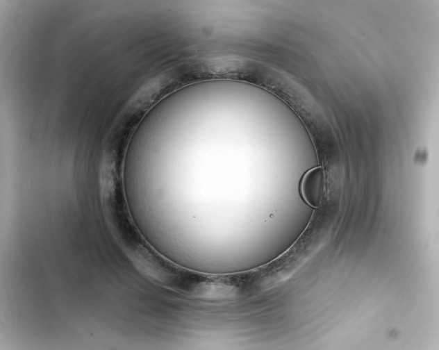 X0000103930644200809191351