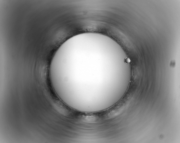 X0000103930645200809191351