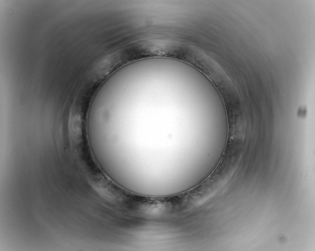 X0000103930646200809191351