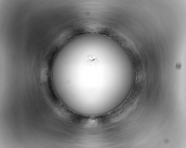 X0000103930647200809191351