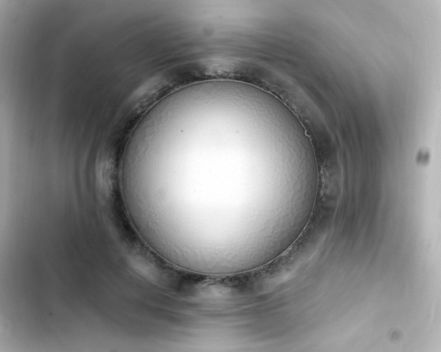 X0000103930648200809191351