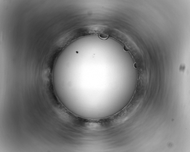 X0000103930649200809191351