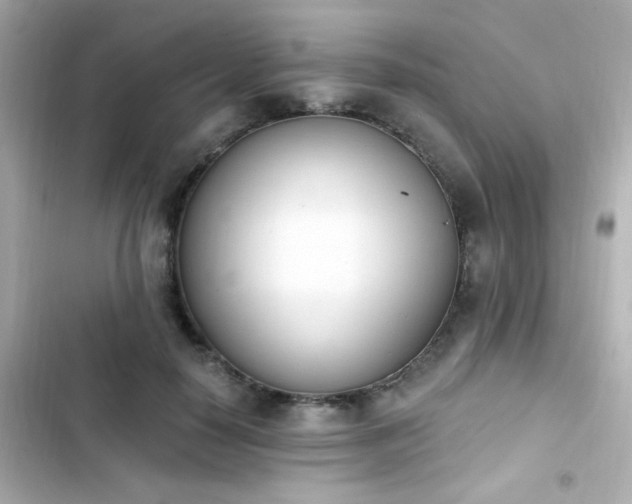 X0000103930650200809191351