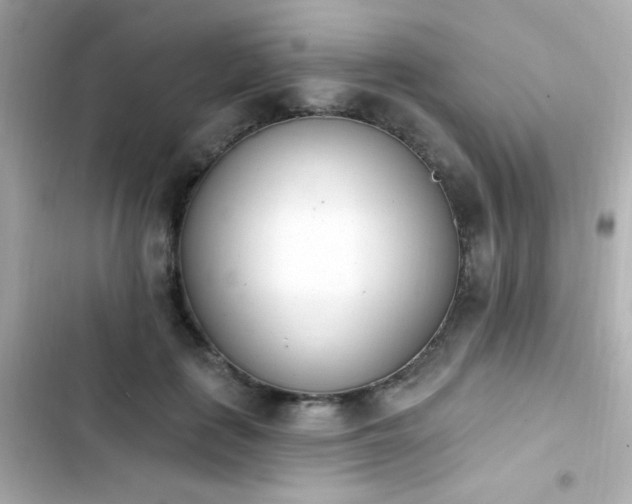 X0000103930651200809191351