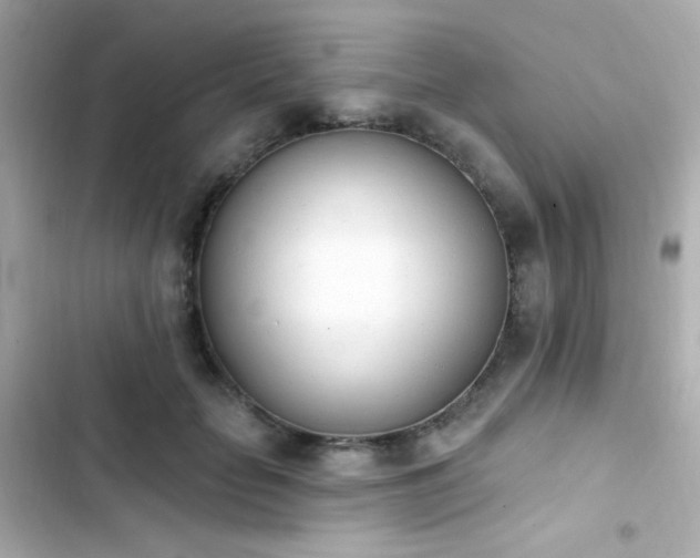 X0000103930653200809191351