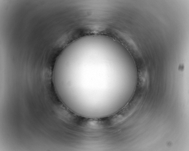 X0000103930657200809191352