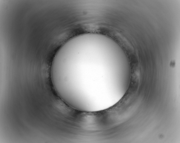 X0000103930658200809191352