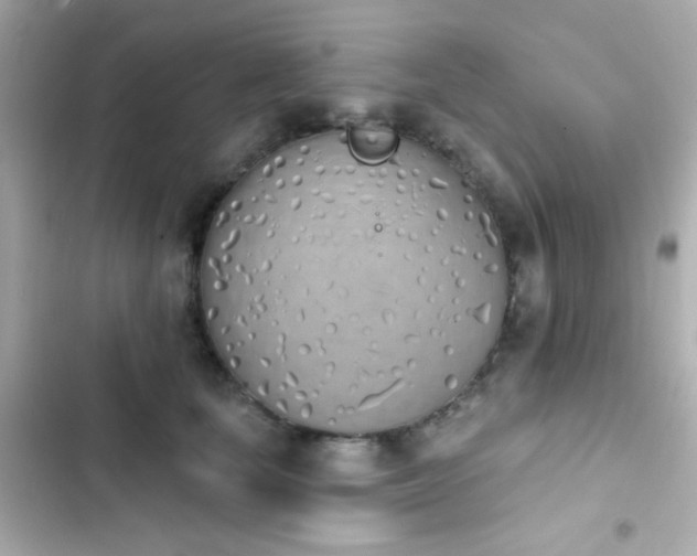 X0000103930659200809191352