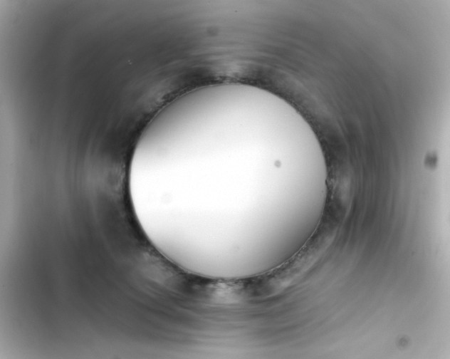 X0000103930660200809191352