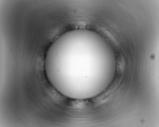 X0000103930661200809191352